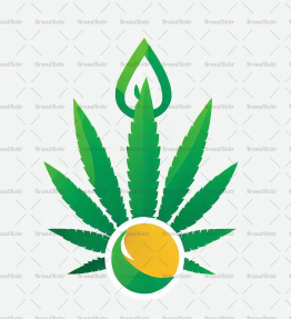Cannabis Öl